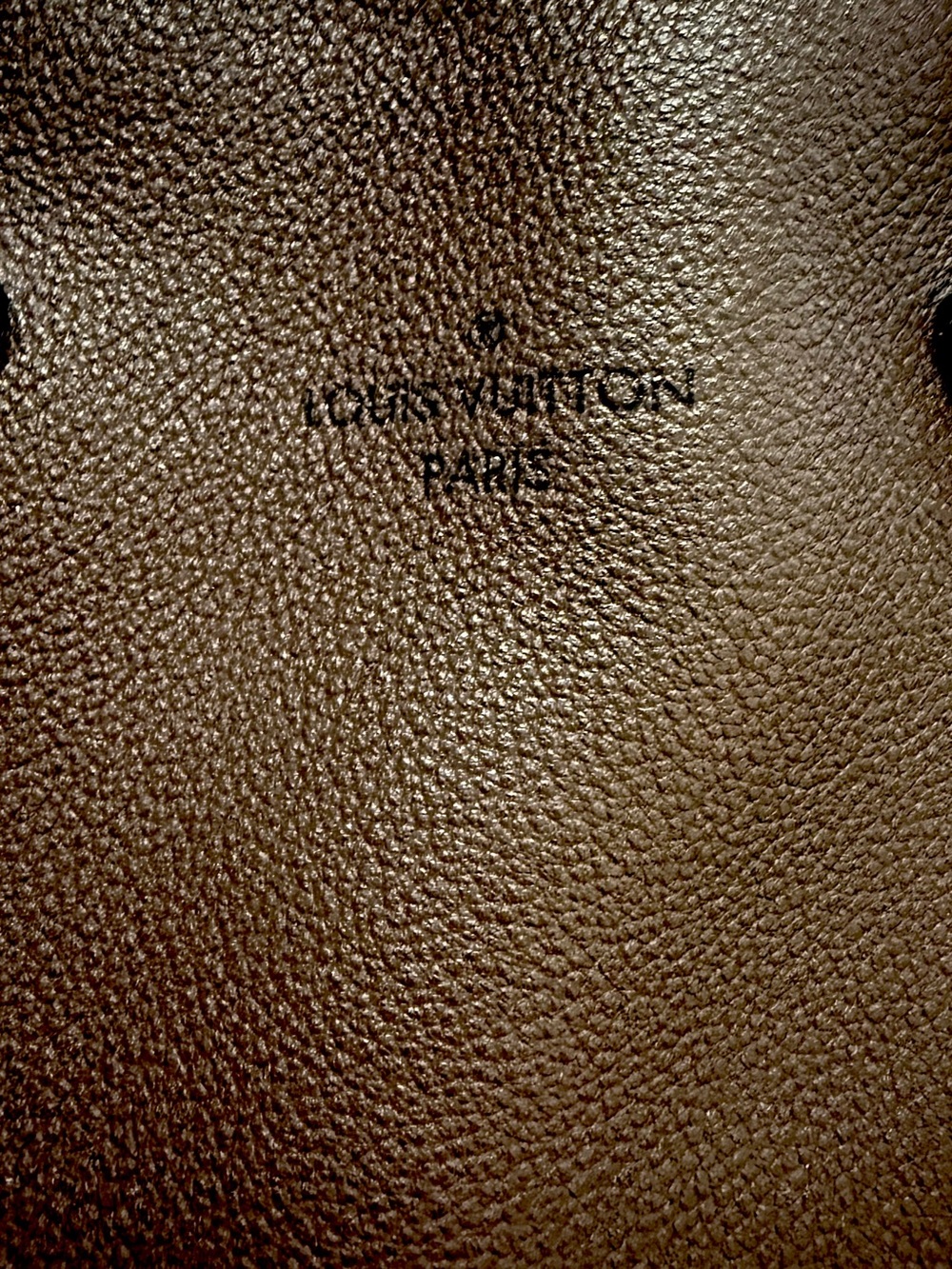 Louis Vuitton “W”  Handbag | Chocolate Calfskin & Monogram Canvas | Authentic - Picture 6 of 14